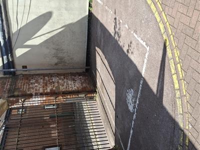 Picture 12
